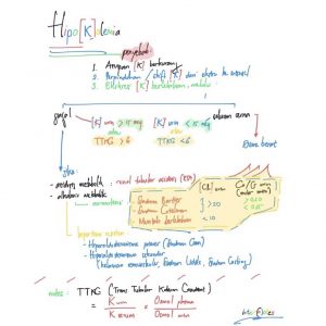 Hipokalemia, penyebab dan diagnosisnya - medical.internotes